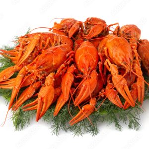 Crayfish