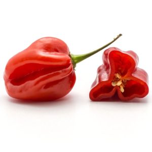 Ata Rodo | Scotch Bonnet | Red Hot Pepper