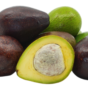 Avocado