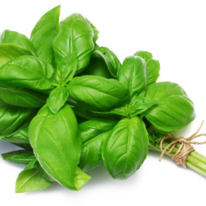 Basil leaves (Fresh)
