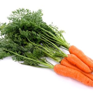 Carrot