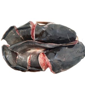 Catfish fresh