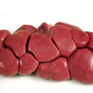 Cow -Kidney