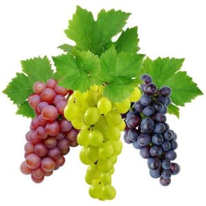 Grapes -Red