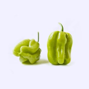 Green Pepper -Rodo | Ata Dudu
