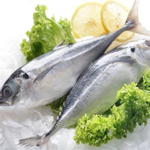 Horse MAckerel