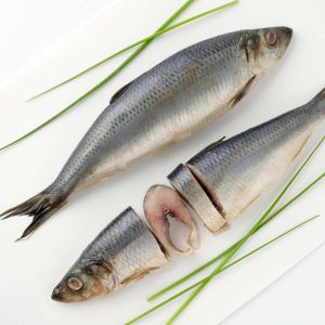 Kote Herrings FIsh