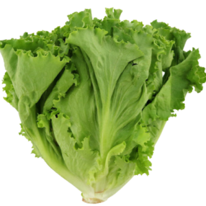 Lettuce