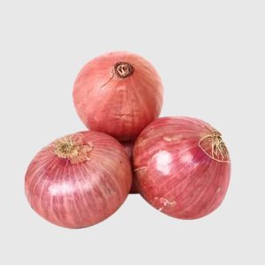 Onion (Red)