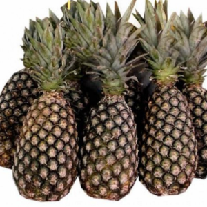 Pineapple (Semi-ripe)