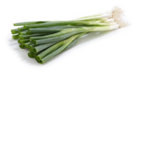 Spring onion