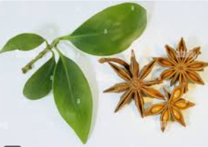 Star Anise