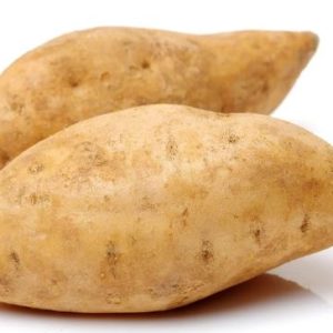 Sweet Potato (White)