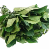 Ugu (Fresh) - Image 2