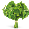 Ugu (Fresh) - Image 3